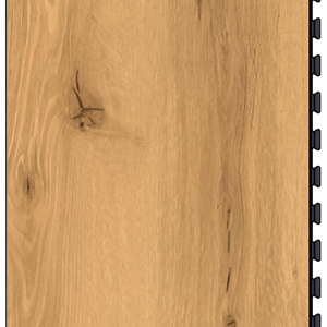 VinylConnect - Royal Oak