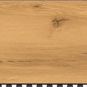 VinylConnect - Royal Oak